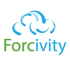 Director of Strategy, Forcivity
